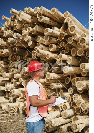 Engineer in front of stack of timber 10624375