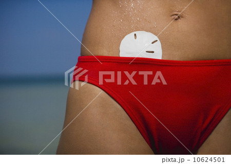 Sand dollar in woman’s bikini, Florida, United States 10624501