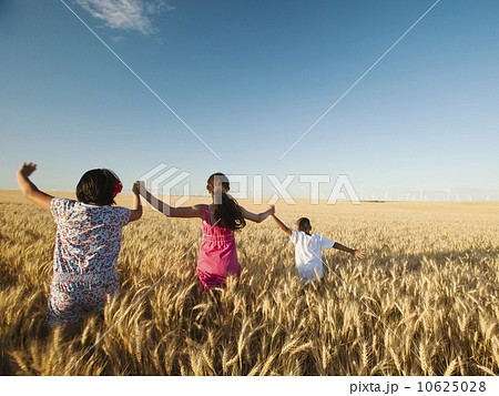 Girls (10-11, 12-13) and boy (8-9) walking though wheat field 10625028