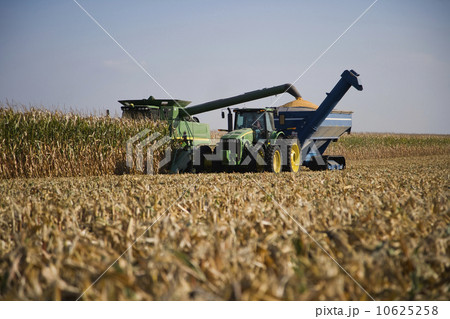 Combine harvesting in corn field 10625258