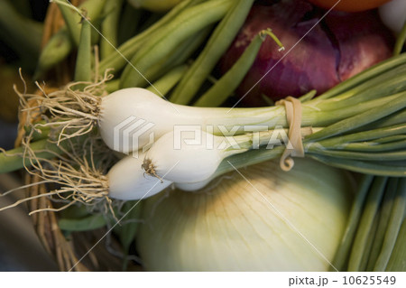 Close up of fresh vegetables Close up of fresh vegetables 10625549