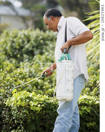 Man watering shrubs 10625963