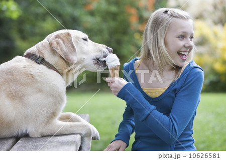 Dog eating girl’s ice cream cone Dog eating girl’s ice cream cone 10626581