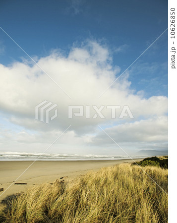 Landscape 10626850