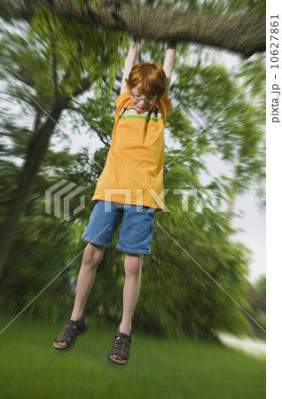 Boy hanging on tree branch 10627861