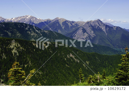 Mountain view 10629172