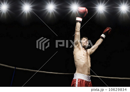 Boxer standing in boxing ring with gloves raised Boxer standing in boxing ring with gloves raised 10629834