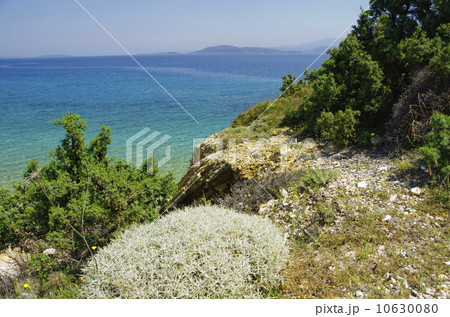 Turkey, Cesme, Izmir, Mediterranean coast 10630080
