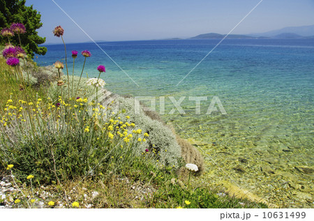 Turkey, Cesme, Izmir, Mediterranean coast 10631499