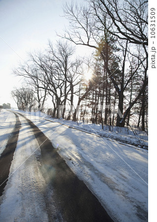 Snow covered road Snow covered road 10631509