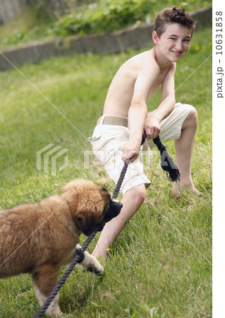 Boy (12-13) and his dog playing with rope Boy (12-13) and his dog playing with rope 10631858