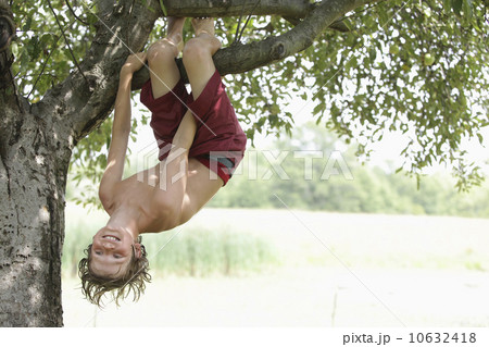 Boy (10-11) hanging upside down on tree branch Boy (10-11) hanging upside down on tree branch 10632418