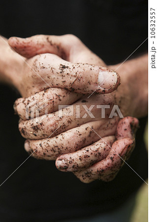Hands covered in soil 10632557