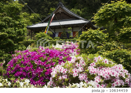 船宿寺 10634459
