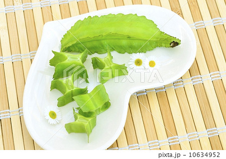 シカクマメ シカクマメ 10634952