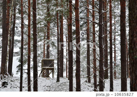 Hunting tower in winter woods 10635827