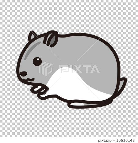 ハムスター ハムスター 10636148