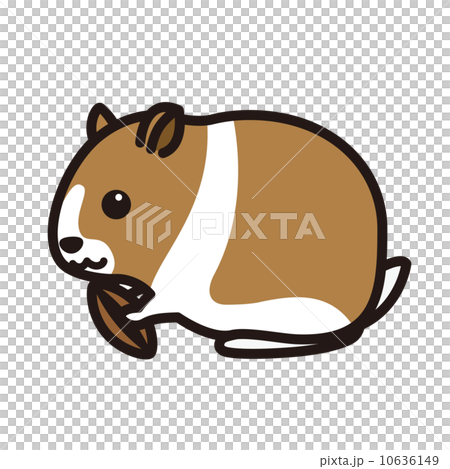 ハムスター　イラスト ハムスターのイラスト素材 [10636149] - PIXTA