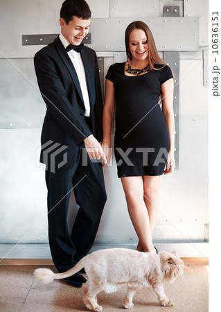 Young happy pregnant couple with their funny cat 10636151