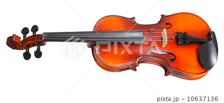 traditional wooden violin isolated on white 10637136
