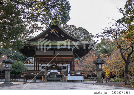 平野神社　接木の拝殿 10637262