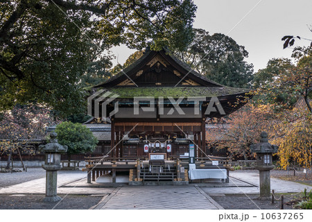 平野神社 接木の拝殿 平野神社 接木の拝殿 10637265