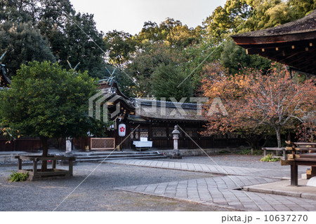 平野神社　本殿 10637270