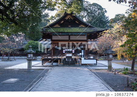 平野神社　接木の拝殿 10637274