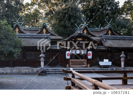 平野神社 本殿 平野神社 本殿 10637281
