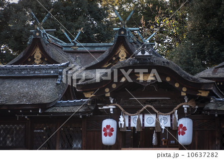 平野神社　本殿 10637282