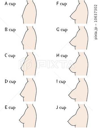 Bust cup size (side) - Stock Illustration [10637302] - PIXTA