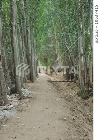 クチャ、ウイグル自治区、中国 クチャ、ウイグル自治区、中国 10637415