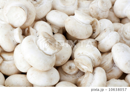 Champignons Champignons 10638057