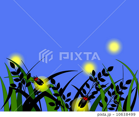 ホタル狩り 10638499