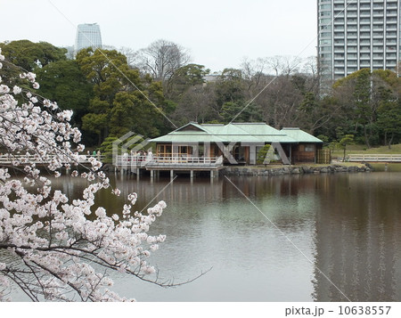 春の浜離宮恩賜庭園 春の浜離宮恩賜庭園 10638557