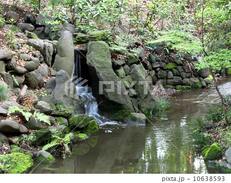 緑の中の小川 10638593
