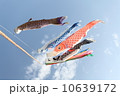 鯉のぼり 10639172