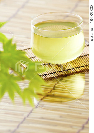 冷茶　ようかん　水羊羹 10639808