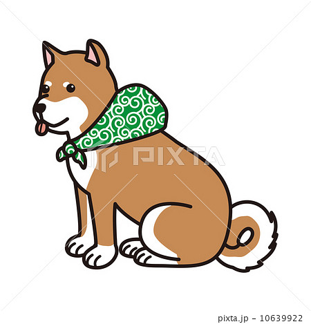 柴犬 犬 ペット 愛犬 可愛い のイラスト素材
