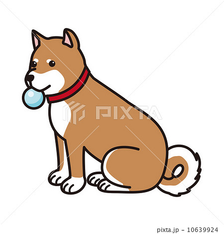 柴犬 ボール 犬のイラスト素材
