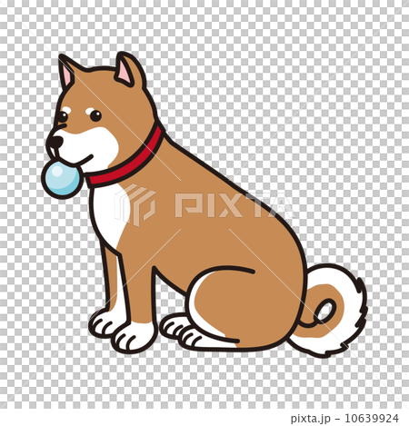 柴犬 ボール 犬のイラスト素材