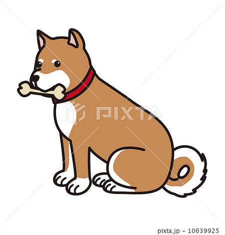 犬 柴犬 ペットのイラスト素材 10639925 Pixta