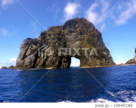 小笠原・マグロ穴 10640188