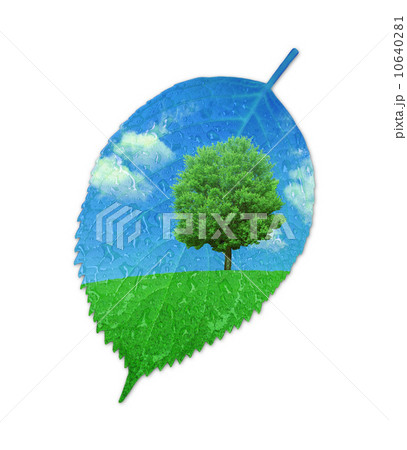 葉っぱの中の一本の大樹のイラスト素材