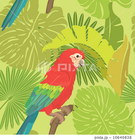 Seamless pattern with palm trees leaves and Red Blue Macaw parro 10640838