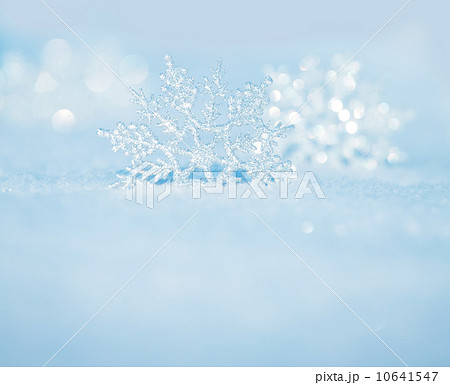 Snowflakes on snow Snowflakes on snow 10641547