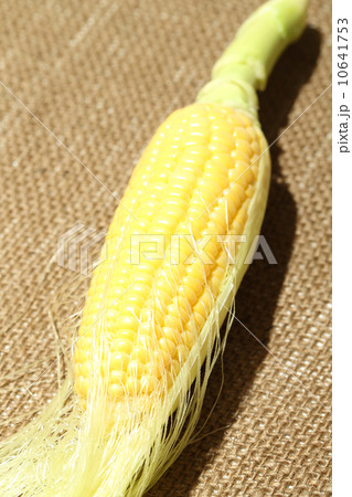 むきかけのとうもろこし 10641753