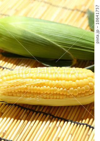 とうもろこし 10641757