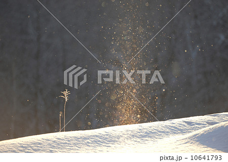 ダイヤモンドダスト ダイヤモンドダスト 10641793