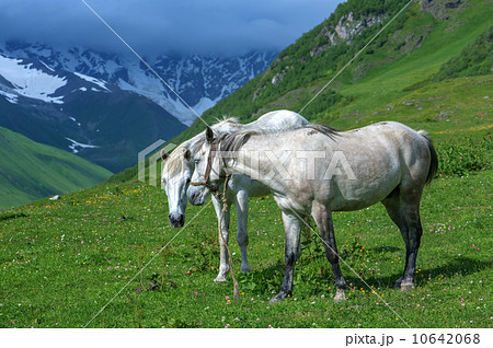 mountain mountain 10642068